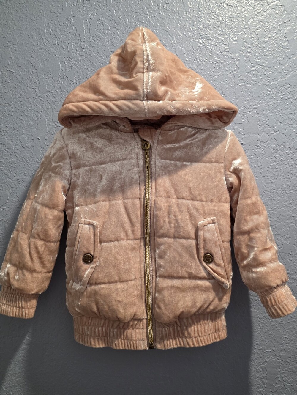 Limited Too Toddler Girl's Pink Crushed Velvet Puffer Coat - 3T